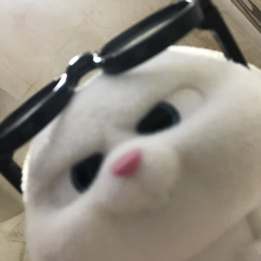 Yilong Liu (刘一龙)